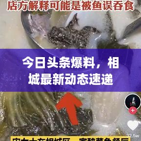 死而后已 第2页
