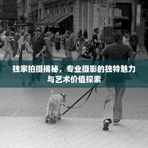 独家拍摄揭秘，专业摄影的独特魅力与艺术价值探索