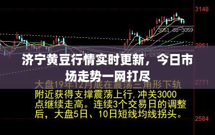 zhongxingenggeng 第2页