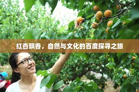红杏飘香，自然与文化的百度探寻之旅
