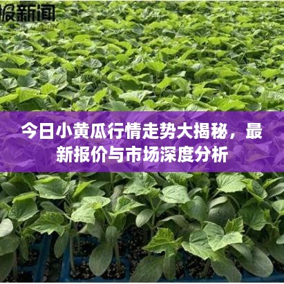 亘古新闻 第3页