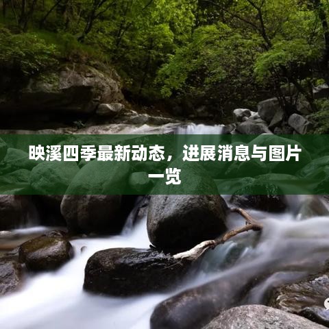 映溪四季最新动态，进展消息与图片一览