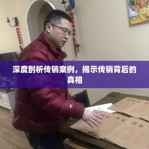 声如洪钟 第2页