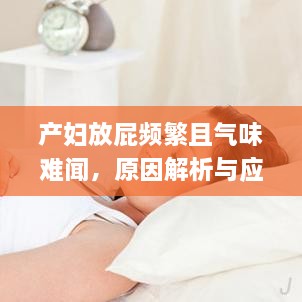 飞黄腾踏 第2页