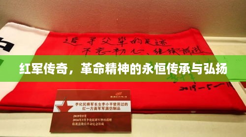 飞来飞去 第2页