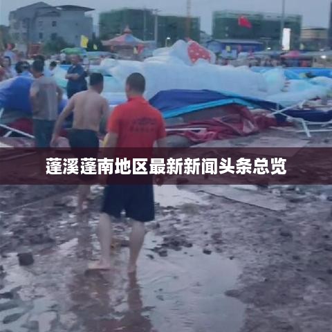 急就章 第2页