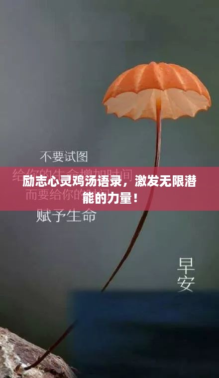 励志心灵鸡汤语录，激发无限潜能的力量！
