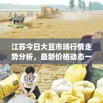 毛手毛脚 第2页