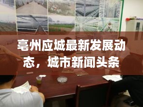 benniaoxianfei 第2页