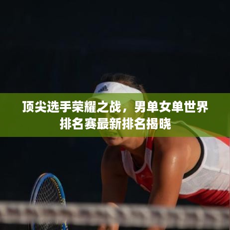 顶尖选手荣耀之战，男单女单世界排名赛最新排名揭晓
