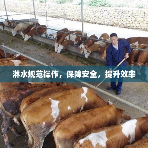 淋水规范操作，保障安全，提升效率