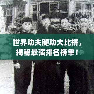 世界功夫腿功大比拼，揭秘最强排名榜单！