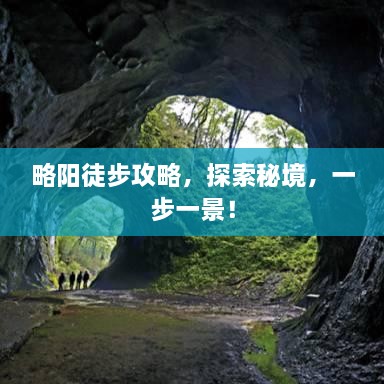第293页