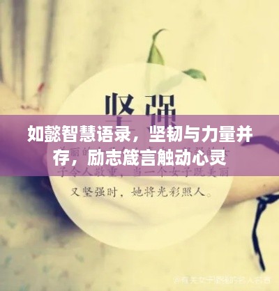 如懿智慧语录，坚韧与力量并存，励志箴言触动心灵