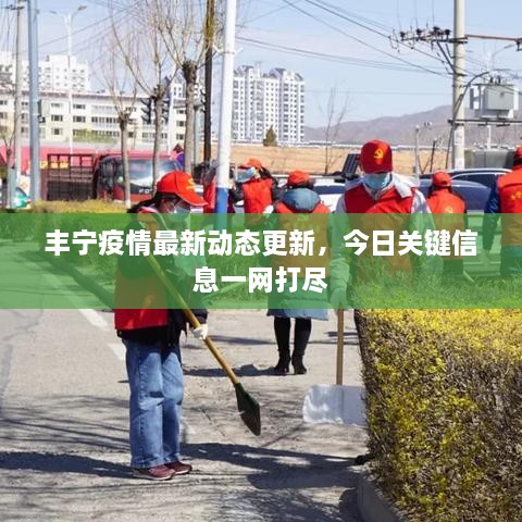 丰宁疫情最新动态更新，今日关键信息一网打尽