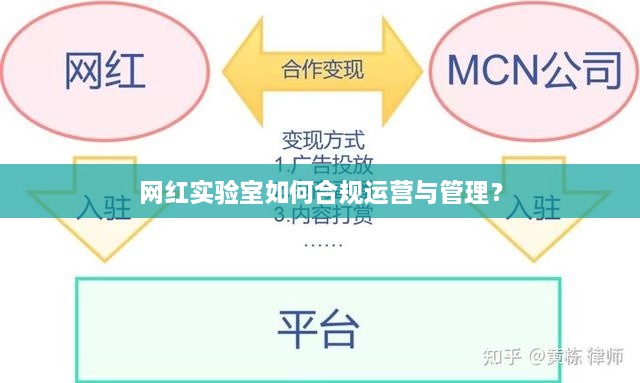 网红实验室如何合规运营与管理？
