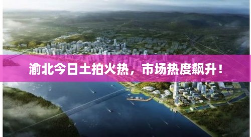 渝北今日土拍火热，市场热度飙升！