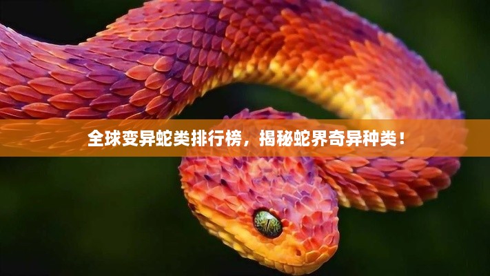全球变异蛇类排行榜，揭秘蛇界奇异种类！