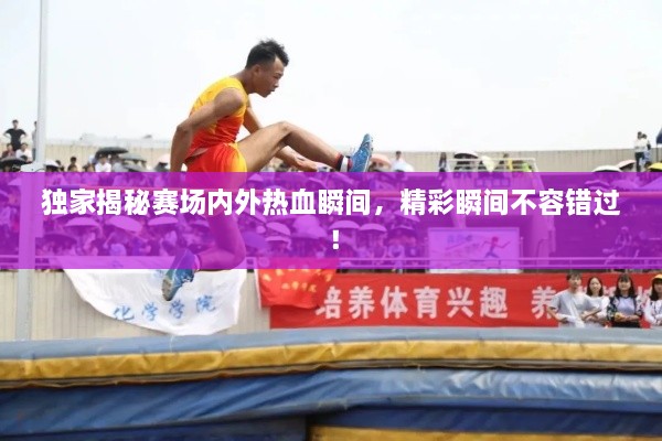 独家揭秘赛场内外热血瞬间，精彩瞬间不容错过！