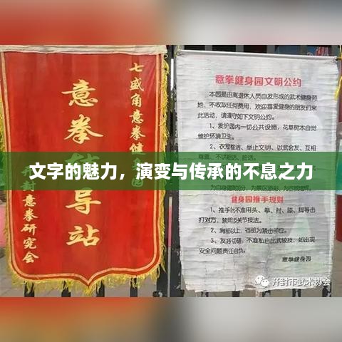 文字的魅力，演变与传承的不息之力