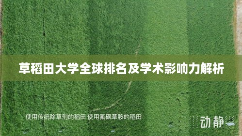 草稻田大学全球排名及学术影响力解析