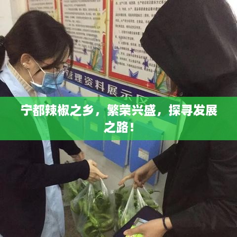 宁都辣椒之乡，繁荣兴盛，探寻发展之路！