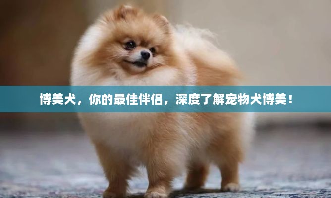 志同道合 第18页