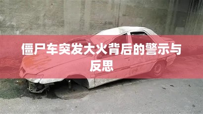 志同道合 第14页