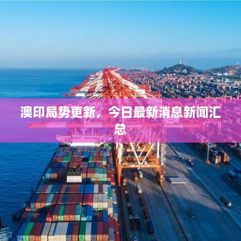 嗅APP 第17页