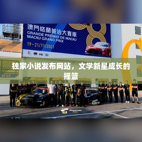 独家小说发布网站，文学新星成长的摇篮