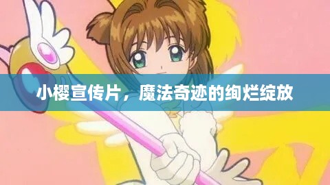 小樱宣传片，魔法奇迹的绚烂绽放