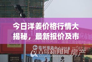 日就月将