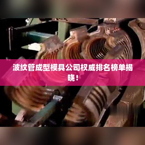 波纹管成型模具公司权威排名榜单揭晓！