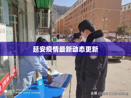 延安疫情最新动态更新