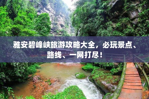 huanzhunfansu