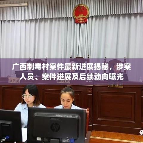 广西制毒村案件最新进展揭秘，涉案人员、案件进展及后续动向曝光