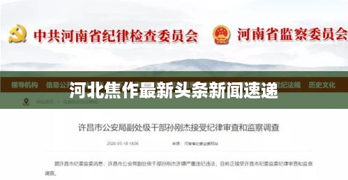 河北焦作最新头条新闻速递