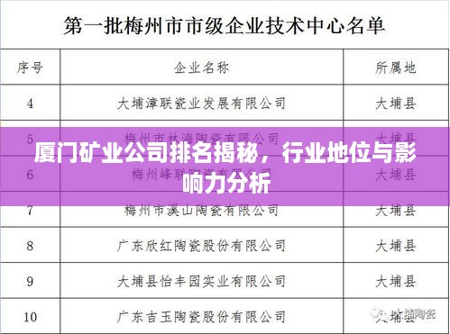 厦门矿业公司排名揭秘，行业地位与影响力分析