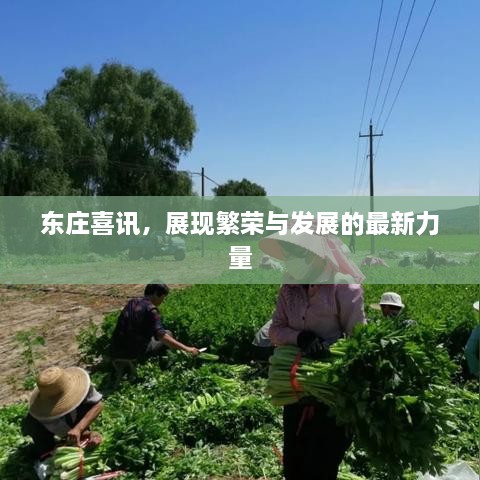 东庄喜讯，展现繁荣与发展的最新力量