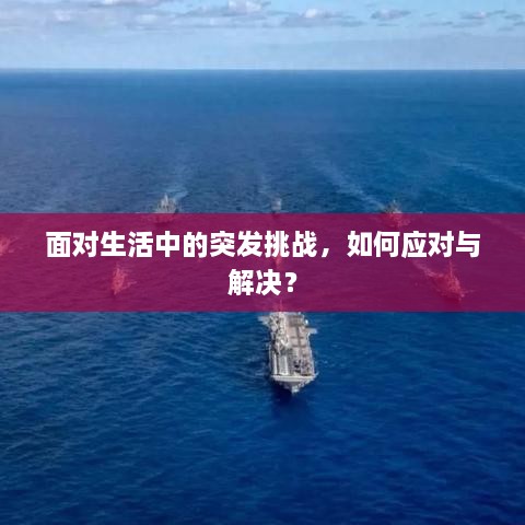 面对生活中的突发挑战，如何应对与解决？