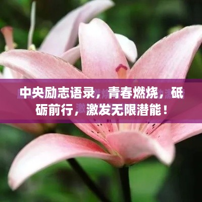 中央励志语录，青春燃烧，砥砺前行，激发无限潜能！