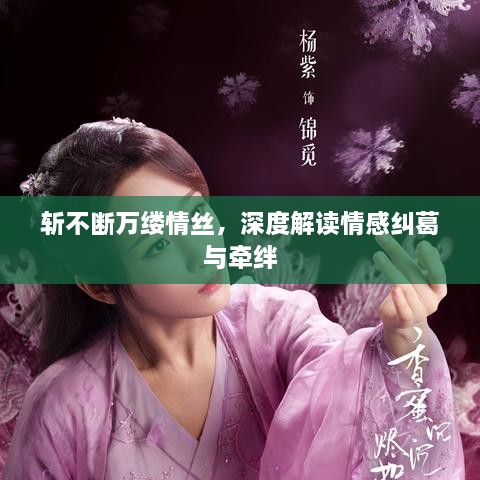 斩不断万缕情丝，深度解读情感纠葛与牵绊