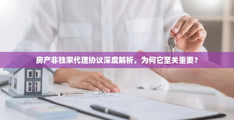 房产非独家代理协议深度解析，为何它至关重要？