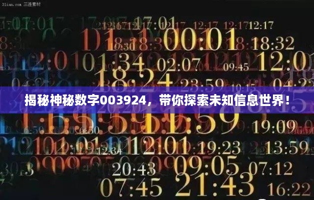 揭秘神秘数字003924，带你探索未知信息世界！