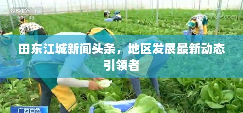 田东江城新闻头条，地区发展最新动态引领者