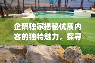 企鹅独家揭秘优质内容的独特魅力，探寻内容价值的无限可能