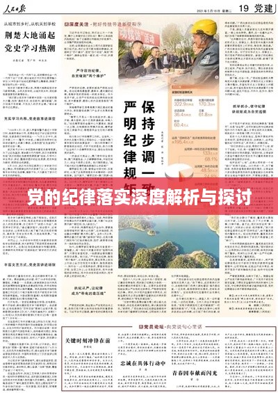 党的纪律落实深度解析与探讨