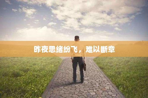 昨夜思绪纷飞，难以断章