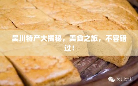 吴川特产大揭秘，美食之旅，不容错过！