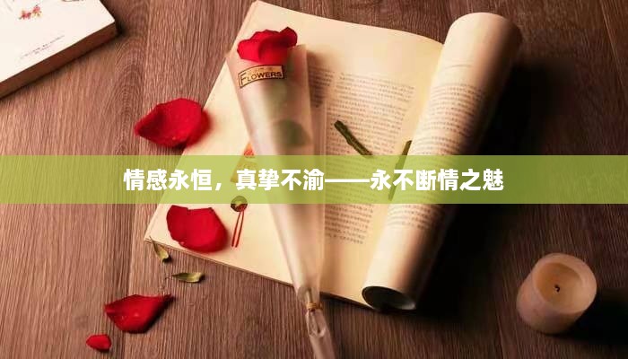 情感永恒，真挚不渝——永不断情之魅